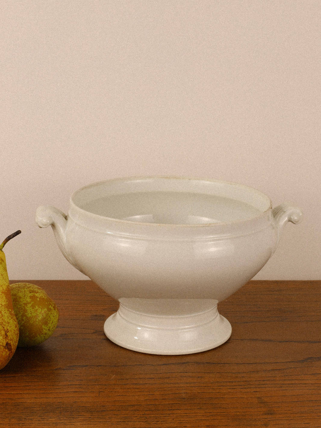 Antique 19th Century Ironstone Tureen