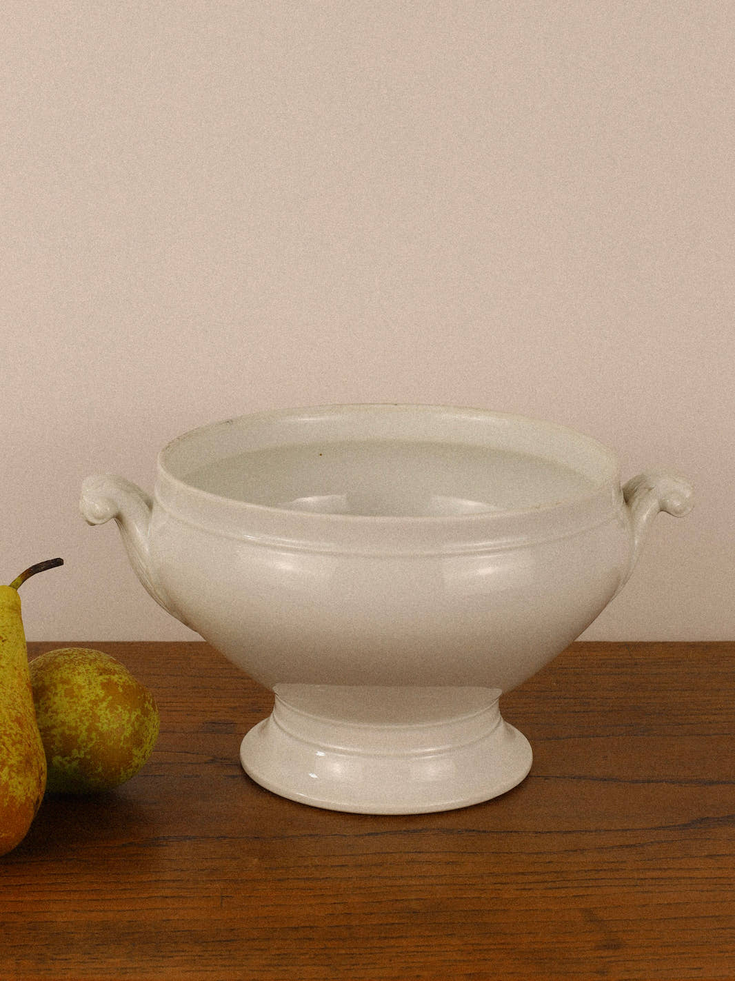Antique 19th Century Ironstone Tureen