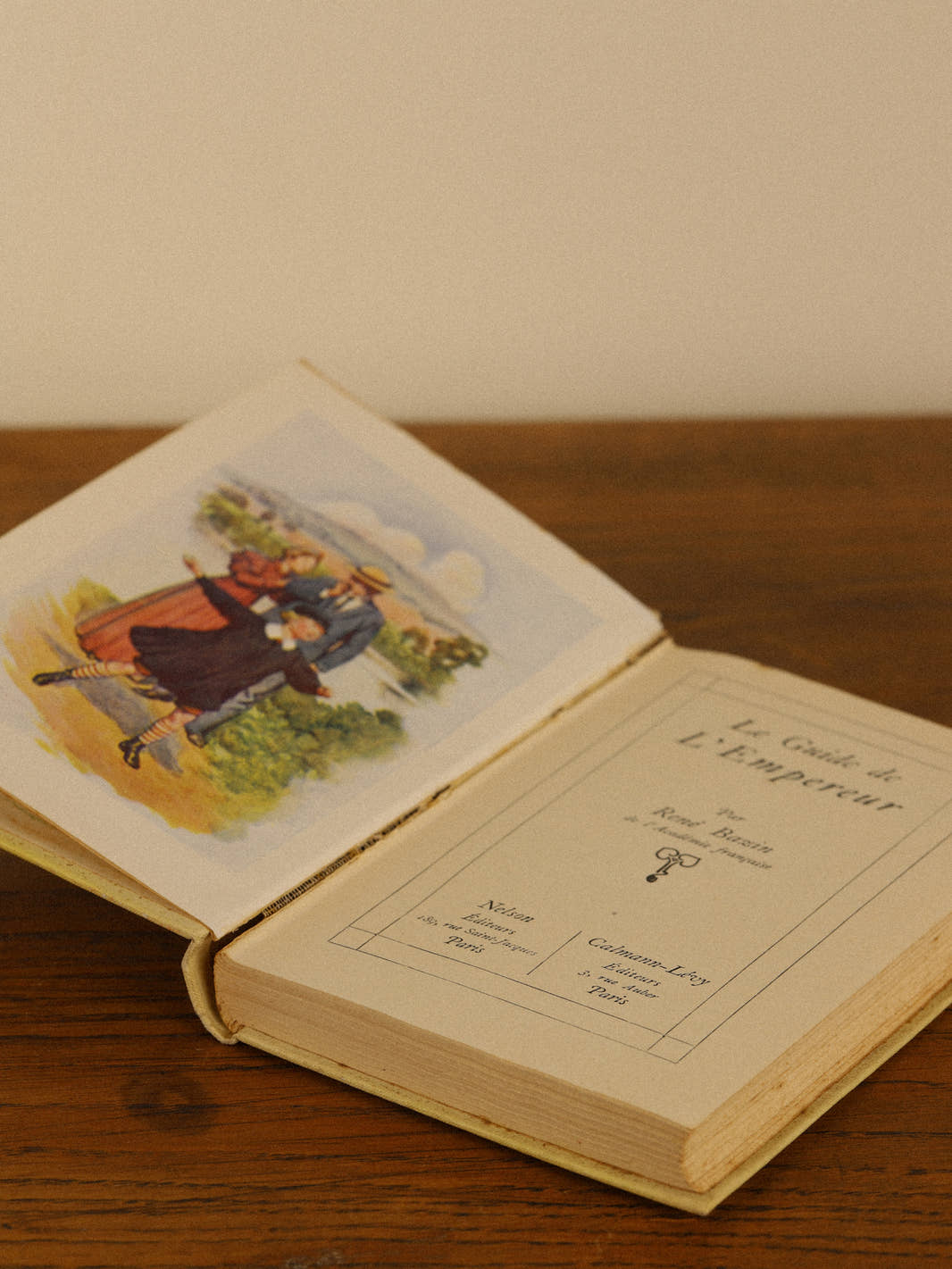 Pair of Antique 1911 French Novels