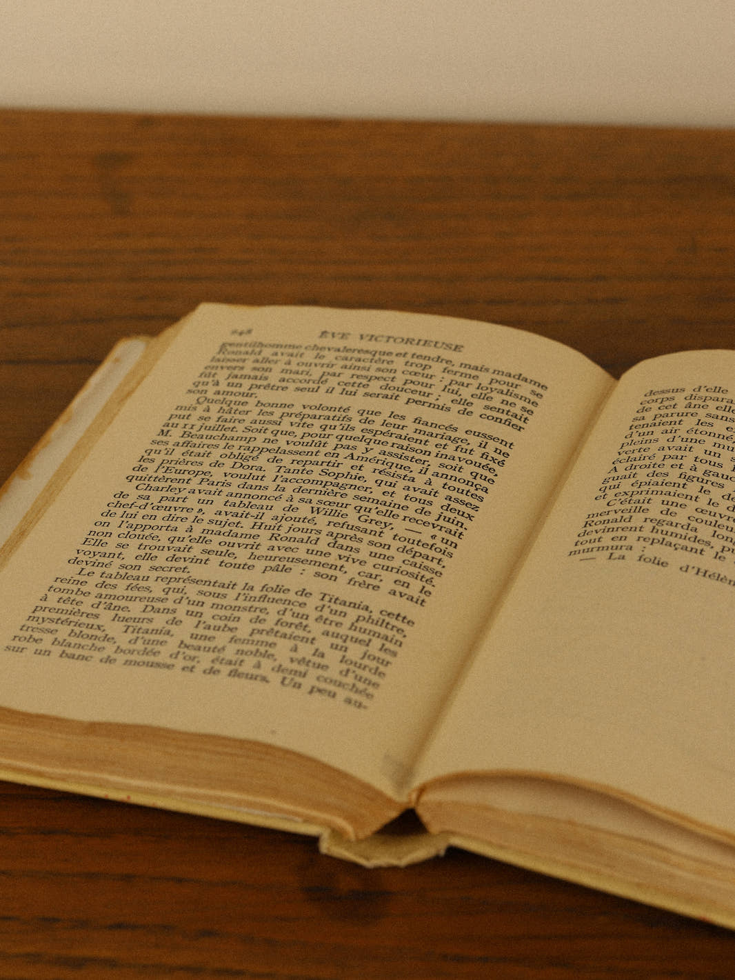 Pair of Antique 1911 French Novels