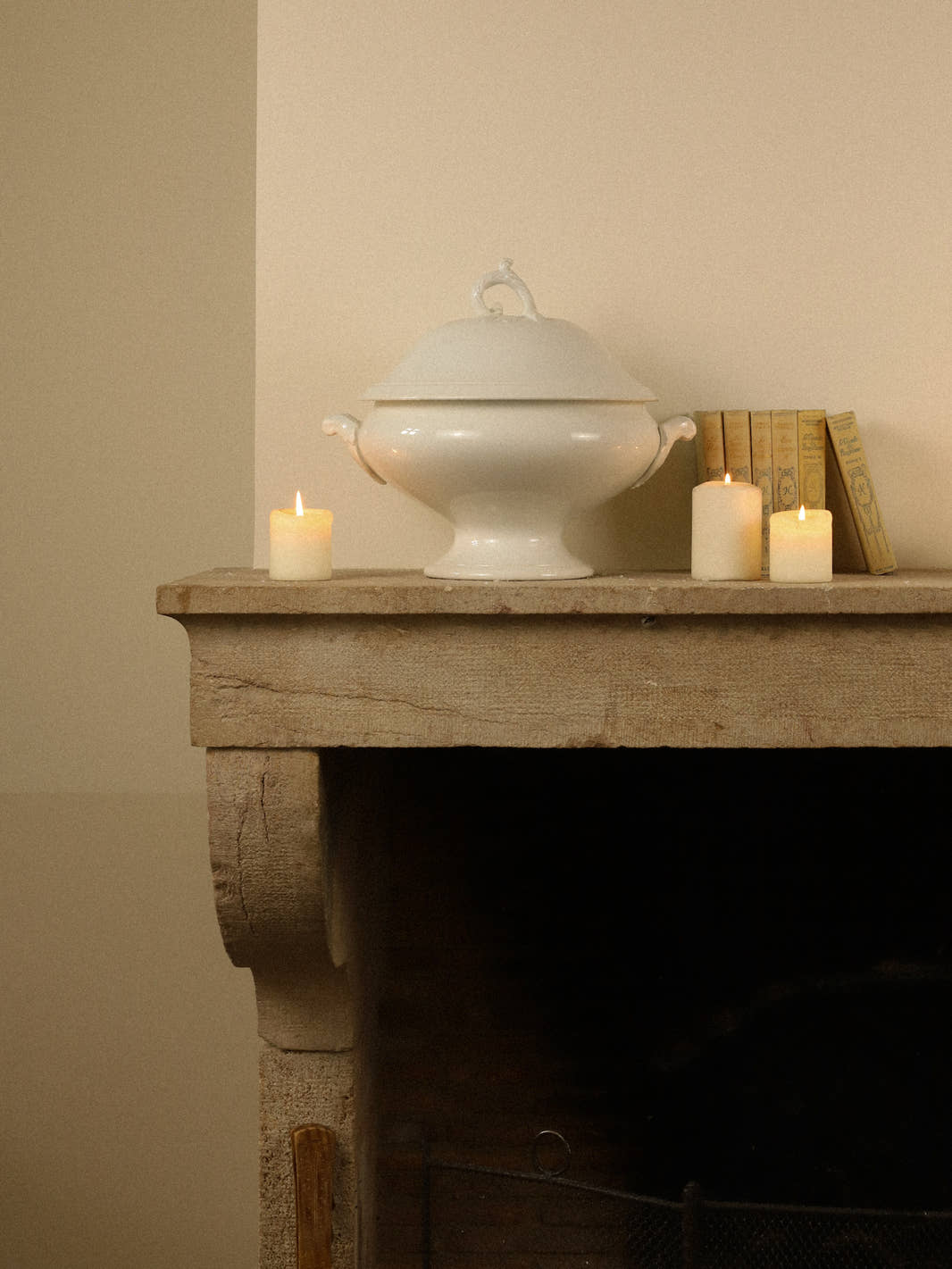 Antique French Ironstone Tureen